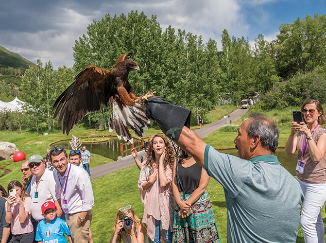 man with a falcon