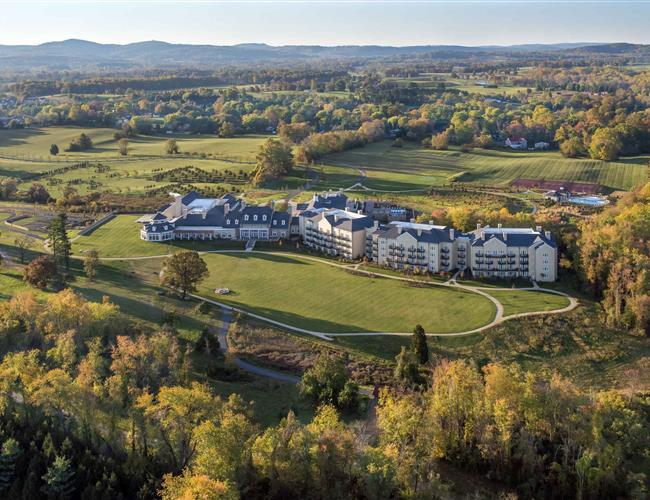 Salamander Middlebur in the fall