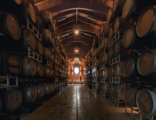 Large wine barrels in cellar