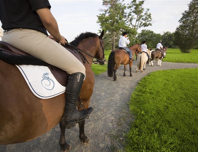 Horseback Riding Experiences