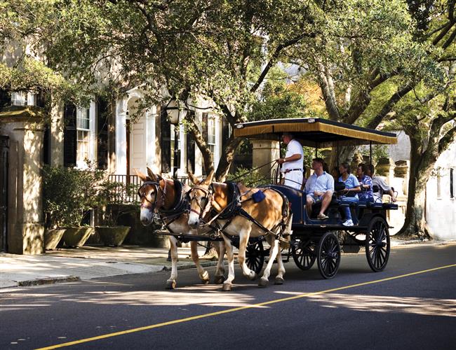 Carriage Ride Through Charleston