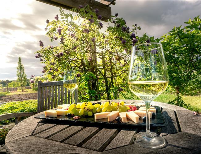 Culinary Garden with a plate of cheese and wine on the table