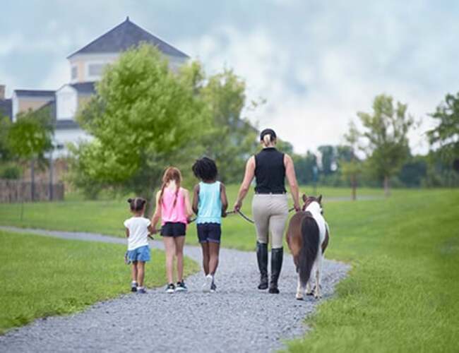 Salamander Middleburg