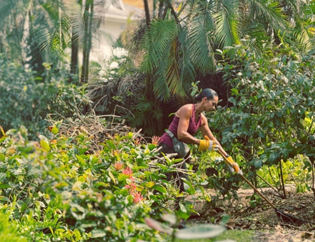 woman cleans up fallen trees