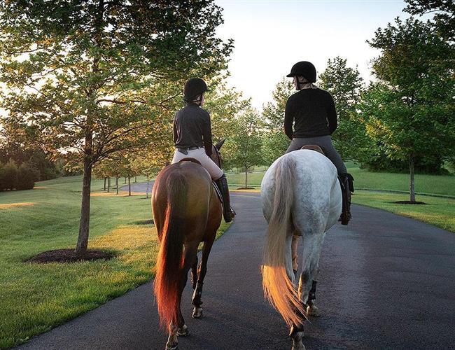 people riding horses down pavement