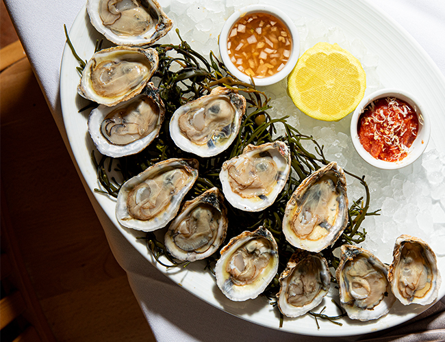 local oysters plated with housemade sauce