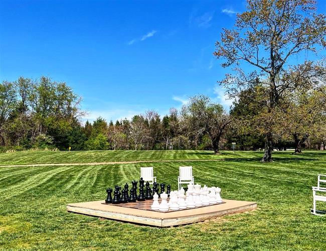 cornhole at salamander middleburg