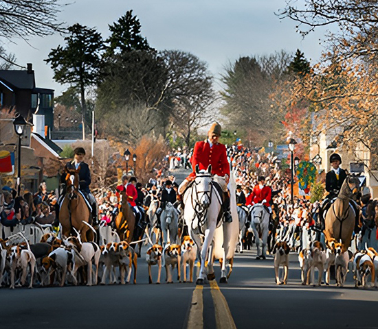 Parade on streets