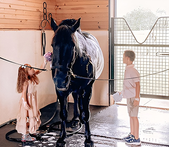 Kids cleaning horse