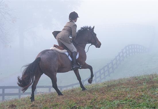 woman hunting on horseback