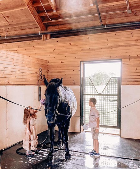 stables