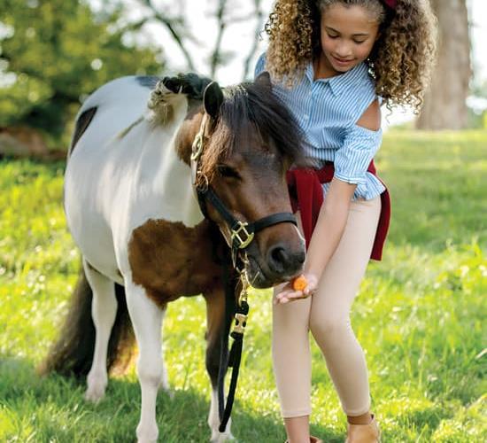 Girl feeding cupcake the pony