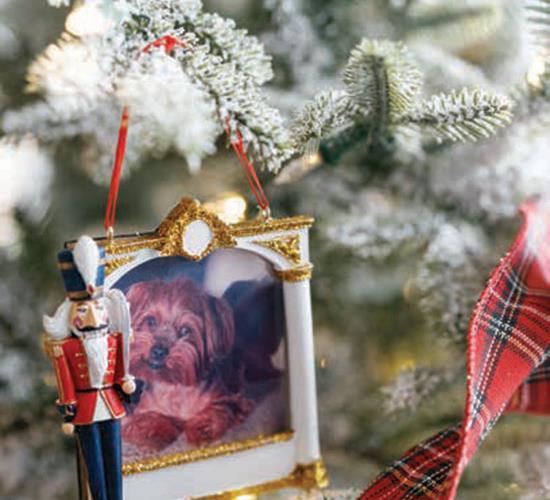 Ornament of dog on tree