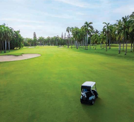 Golf course at Half moon