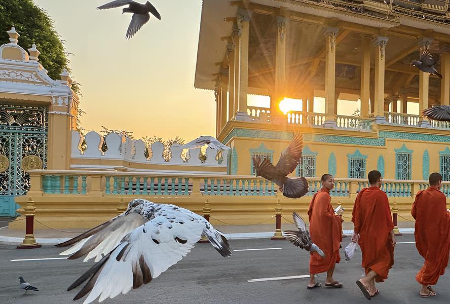 birds fly past monks
