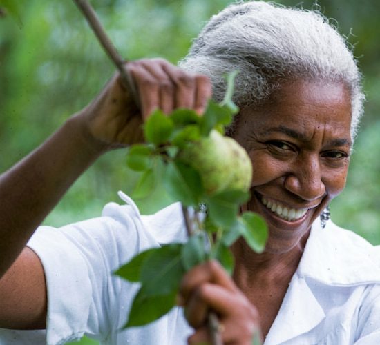 Edna Lewis in the garden