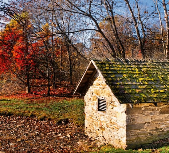 Salamander Stallion Barn is over 100 years old