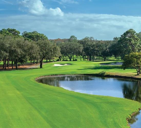 Copperhead Course #16 Par 4