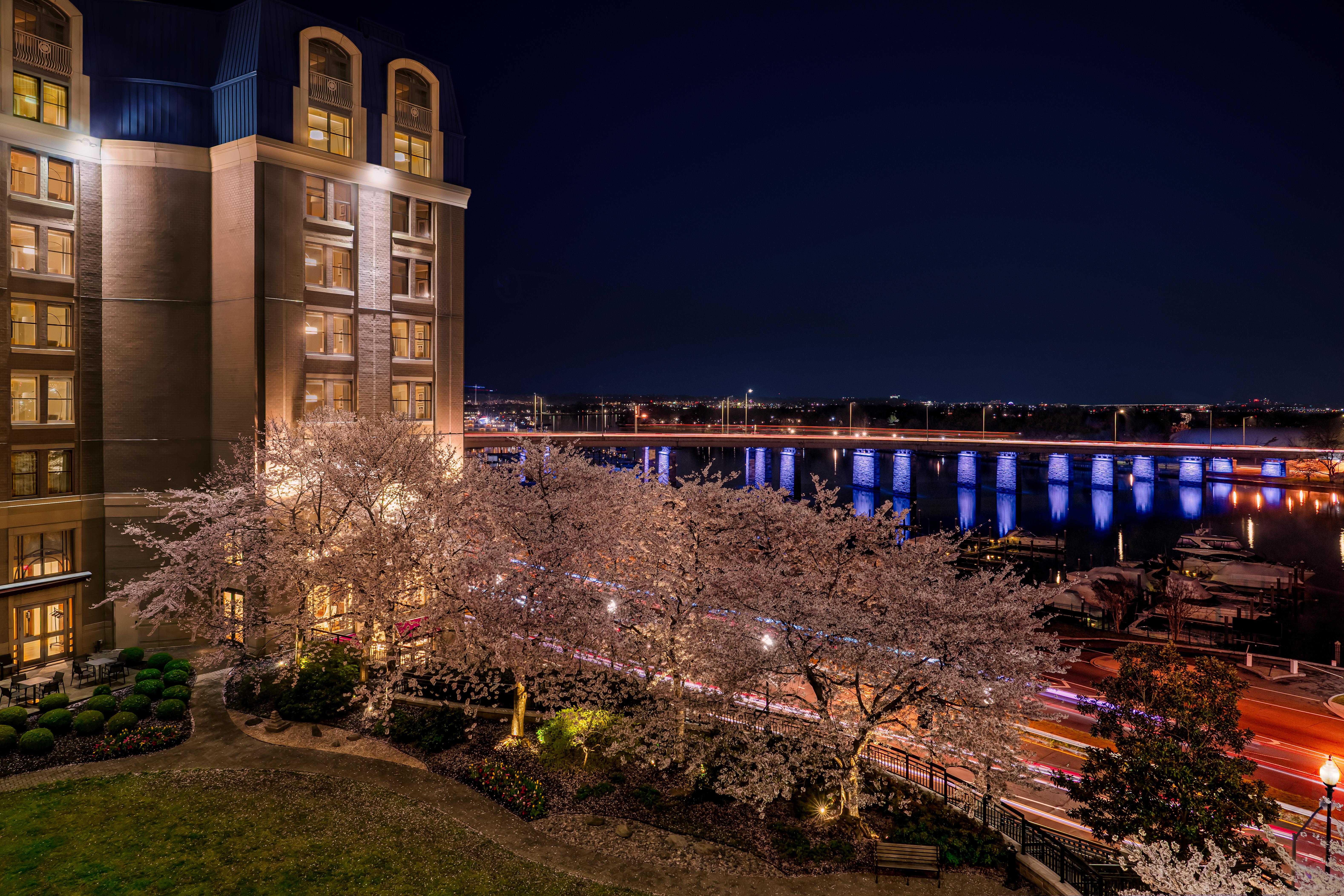 Exterior Garden View
