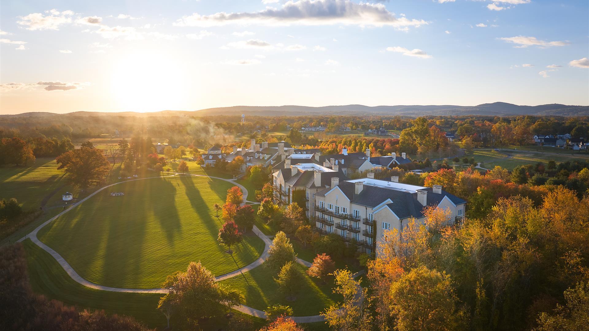 Salamander Middleburg