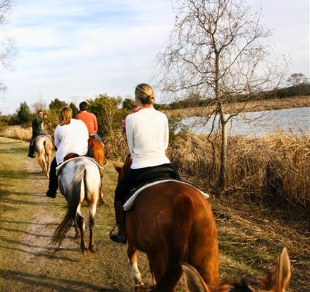 People riding horses