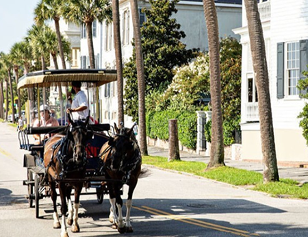 Tour Charleston by Carriage Ride