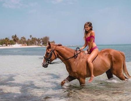 Swimming with Horses in the Caribbean Sea