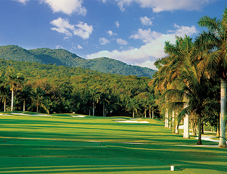 Gain Wisdom from Legendary Caddies