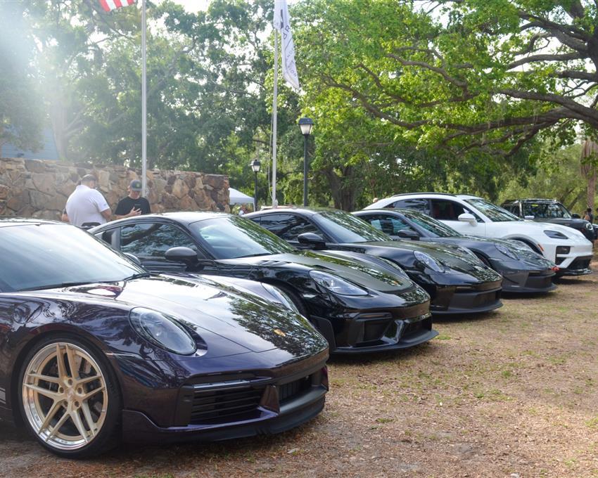 cars lined up at Cars & Coffee at Innisbrook Resort