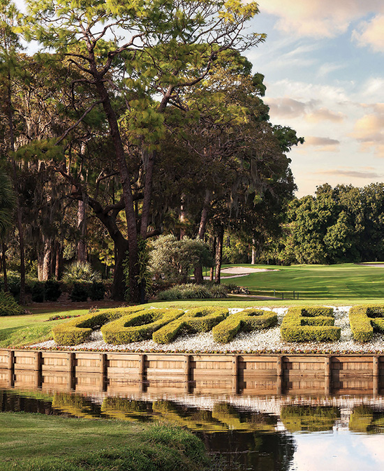 Copperhead hedge view