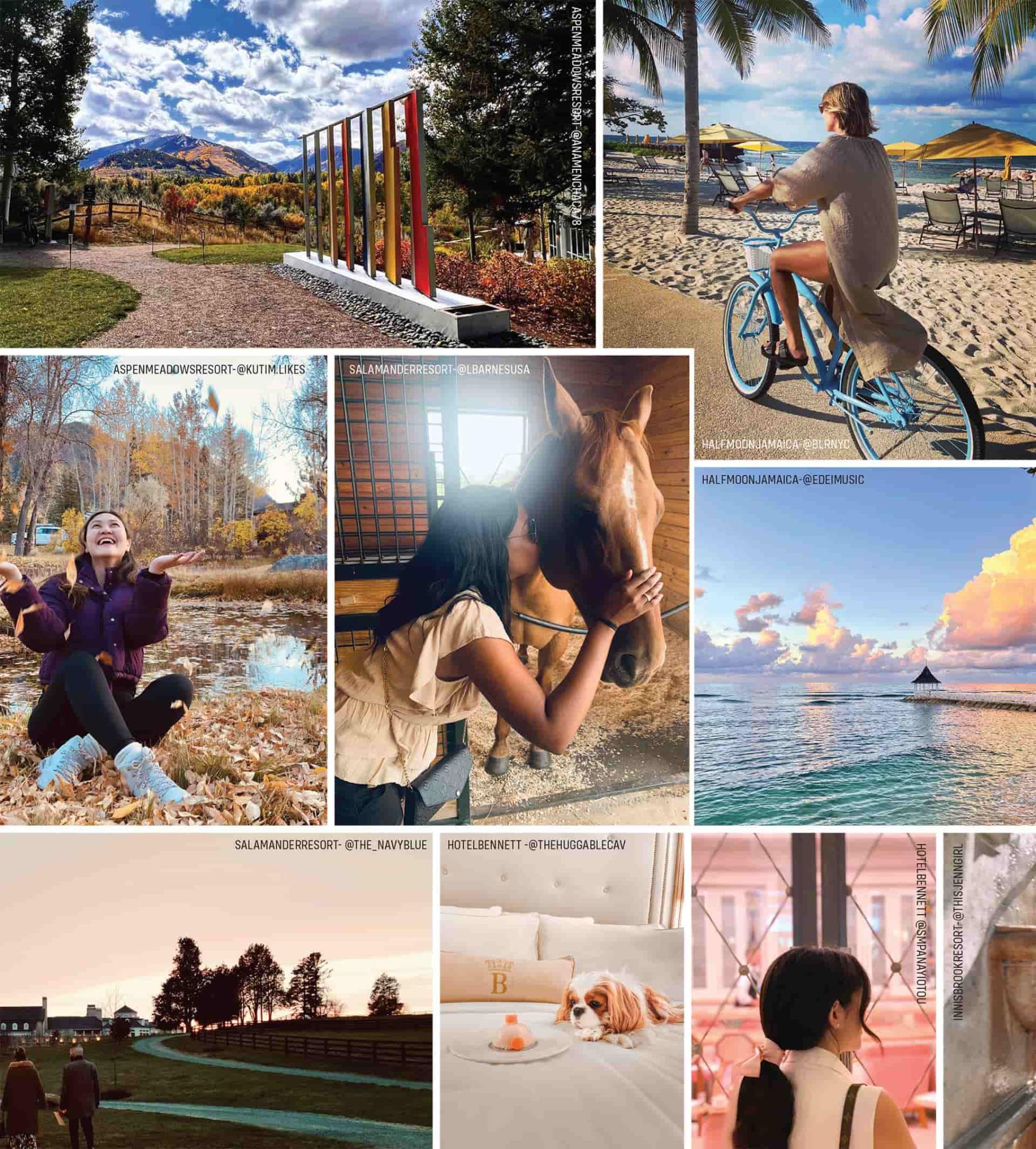 Snapshot collage of images by guests of hotels