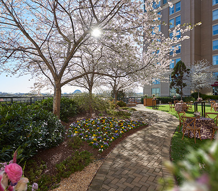 Garden Terrace with banquet setup