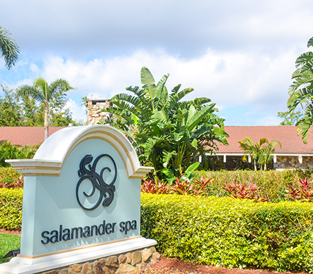 Innisbrook Salamander Spa
