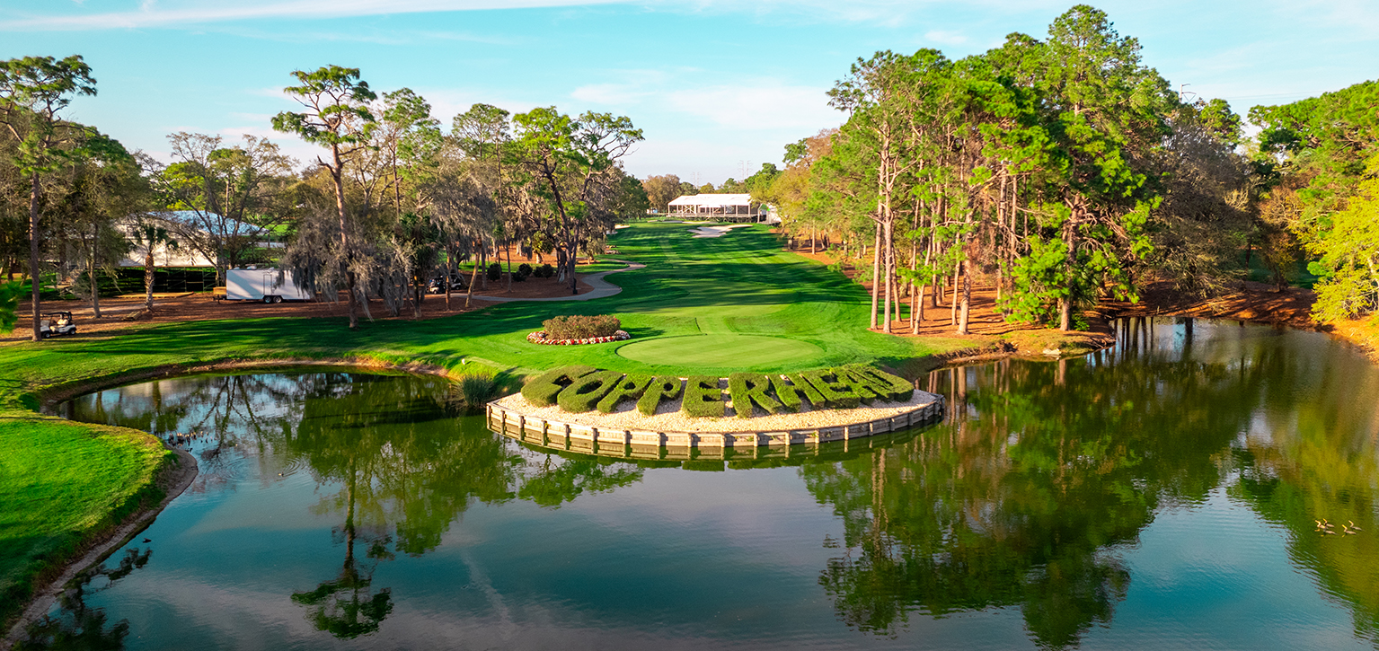 Copperhead Course at Innisbrook Resort