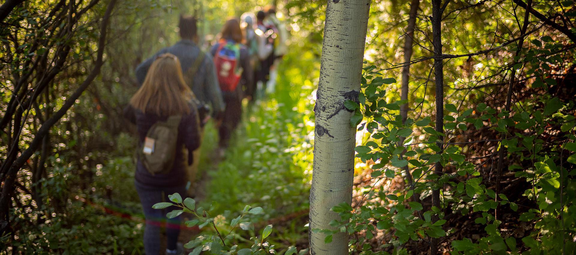 A group of people hiking on a mountain trail