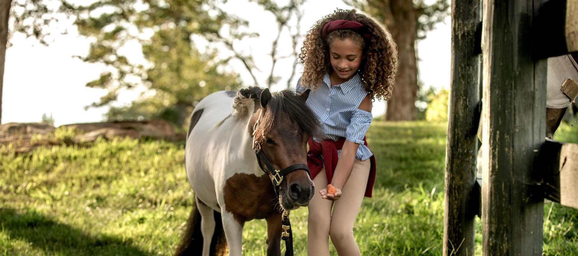 kid feeding pony