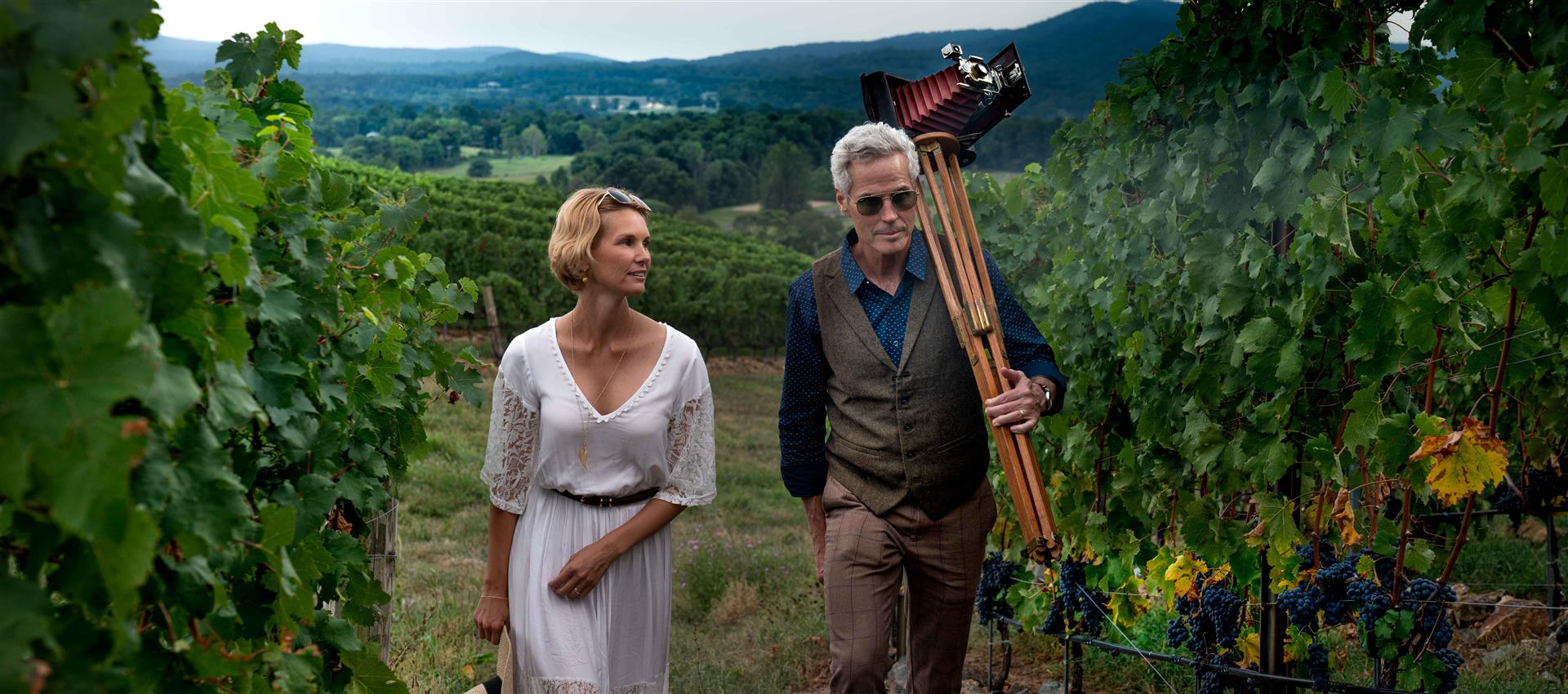 A couple walking in a vineyard