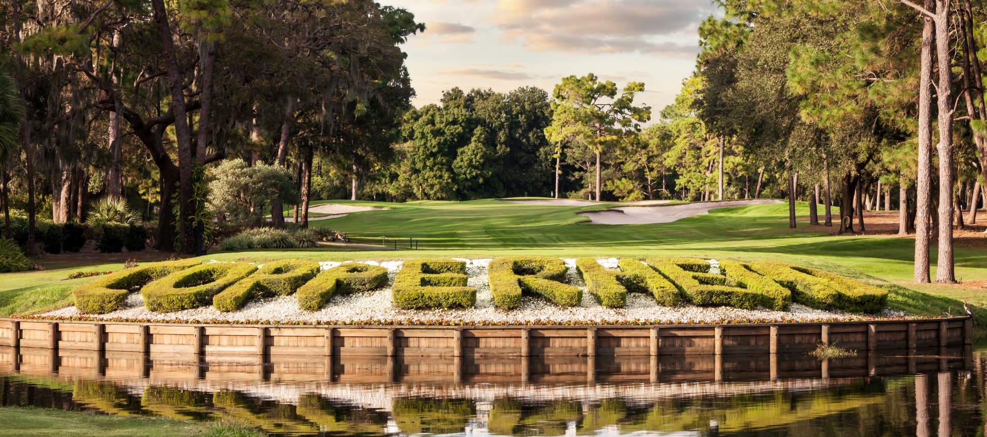 Copperhead written in bushes