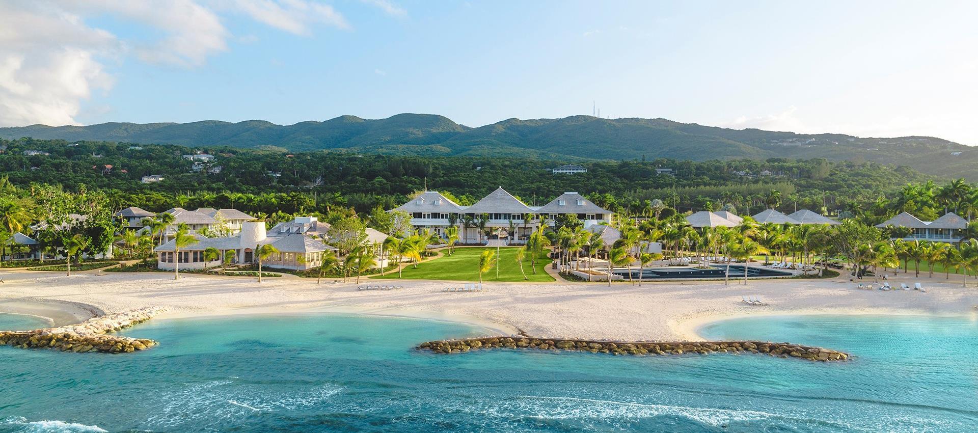 salamander collection beachside