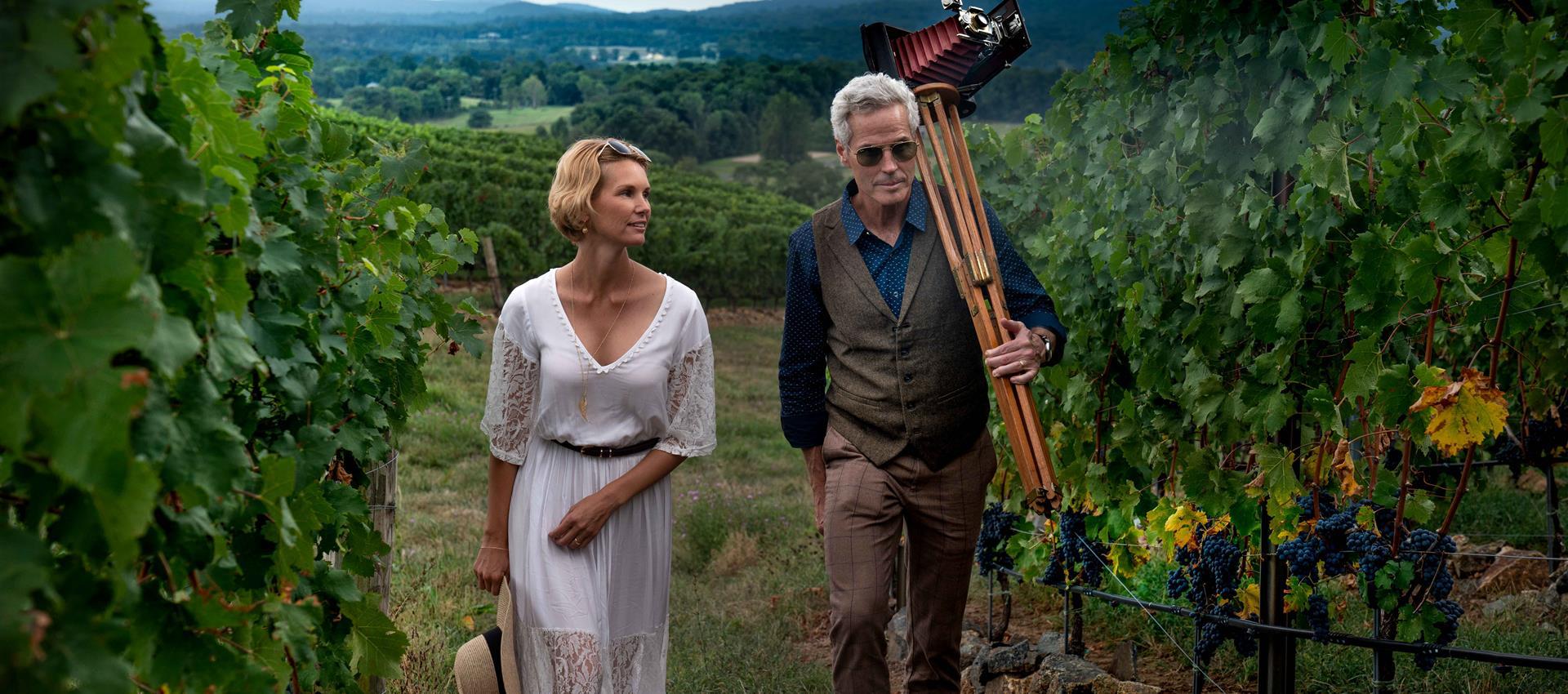 Couple walking in vineyard