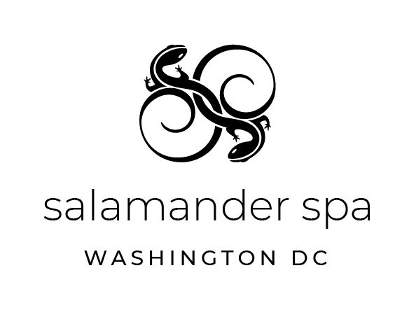 Salamander DC Icon Image