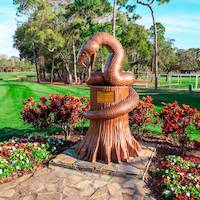 Innisbrook
